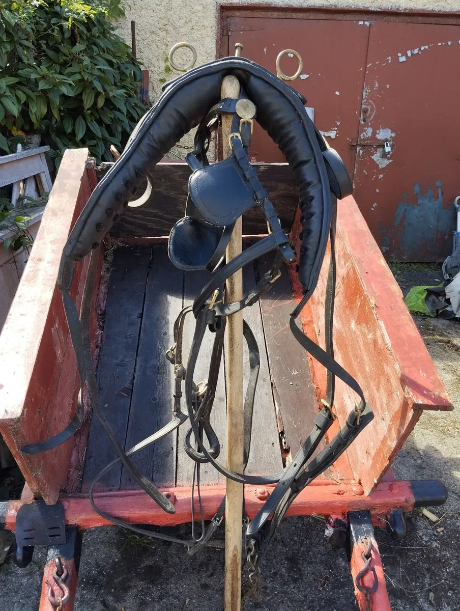 Miscellaneous - Image 1