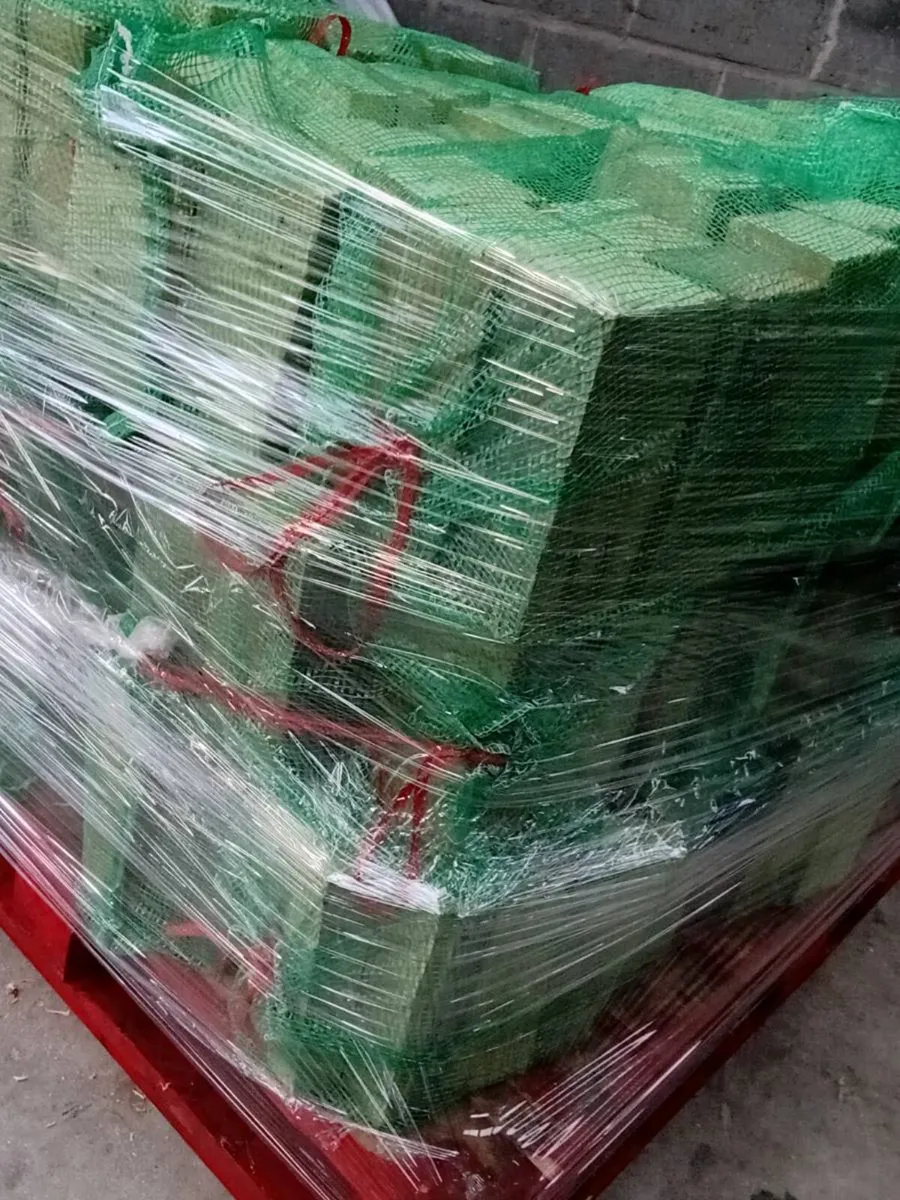 Timber logs - Image 1