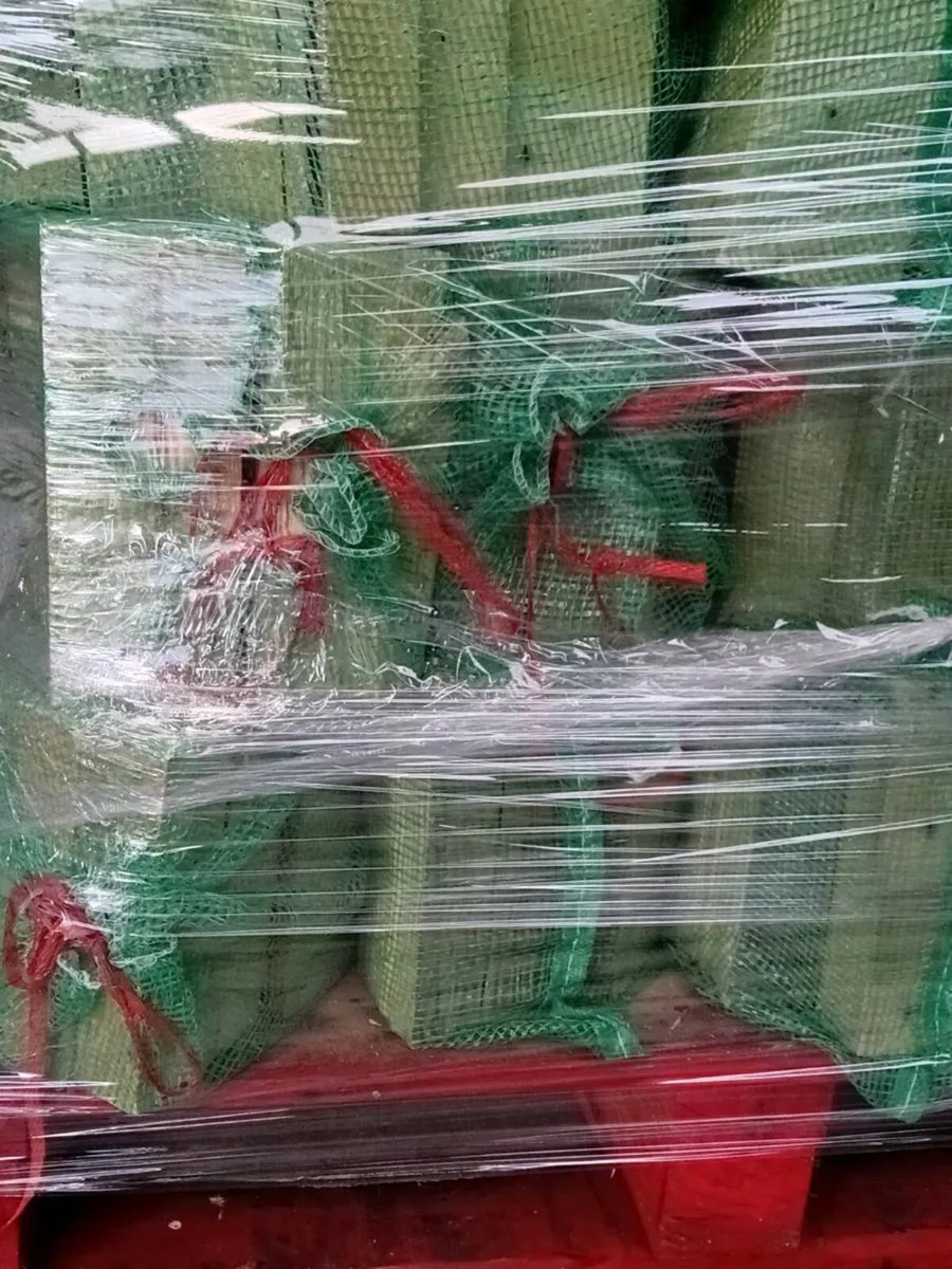 Timber logs - Image 2