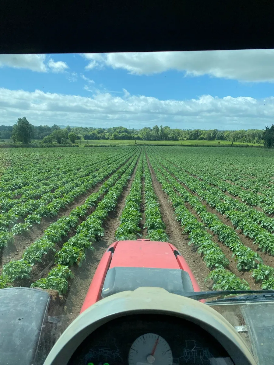 Tillage land wanted - Image 2