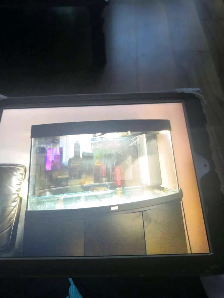 Fish tanks for sale - Image 2