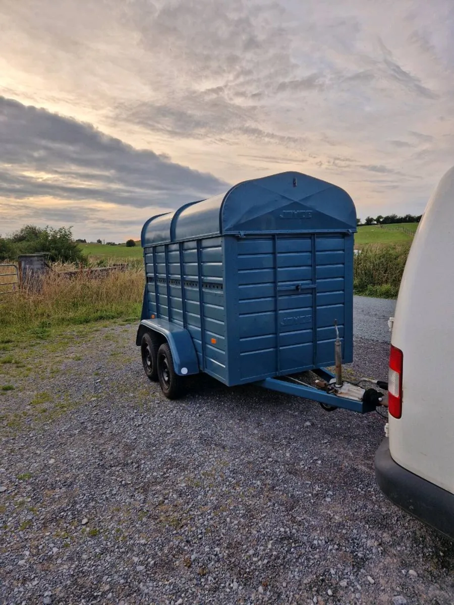 8ft by 4ft joyce cattle trailer - Image 2