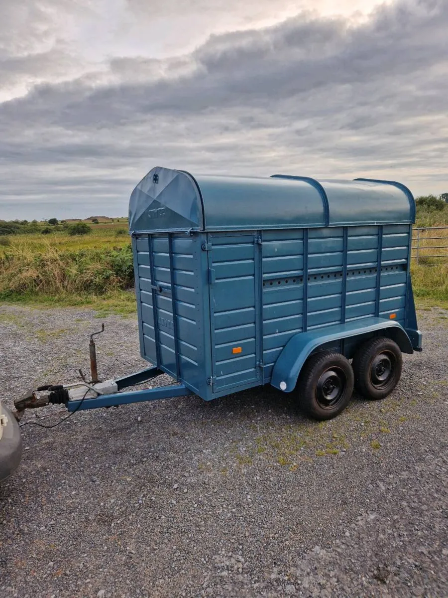 8ft by 4ft joyce cattle trailer - Image 4