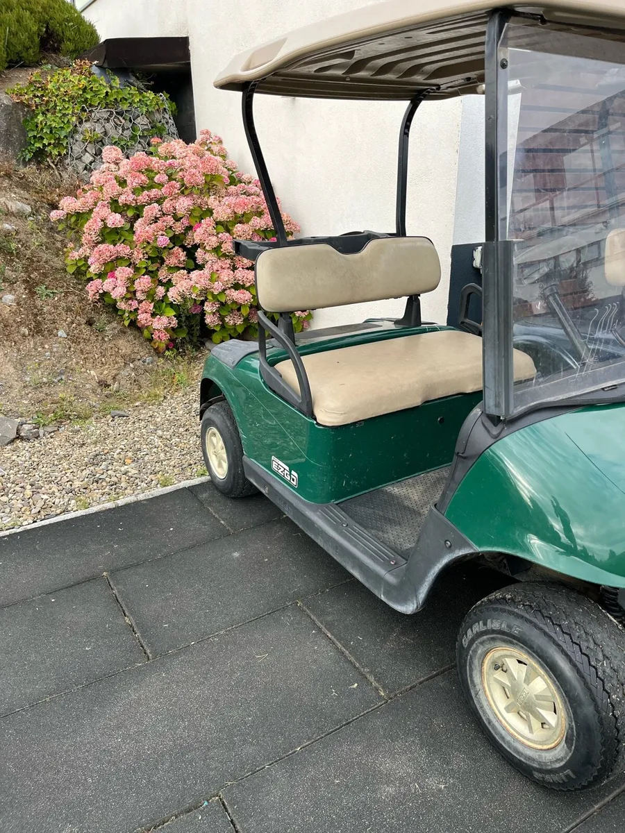 Golf buggies choice - Image 3