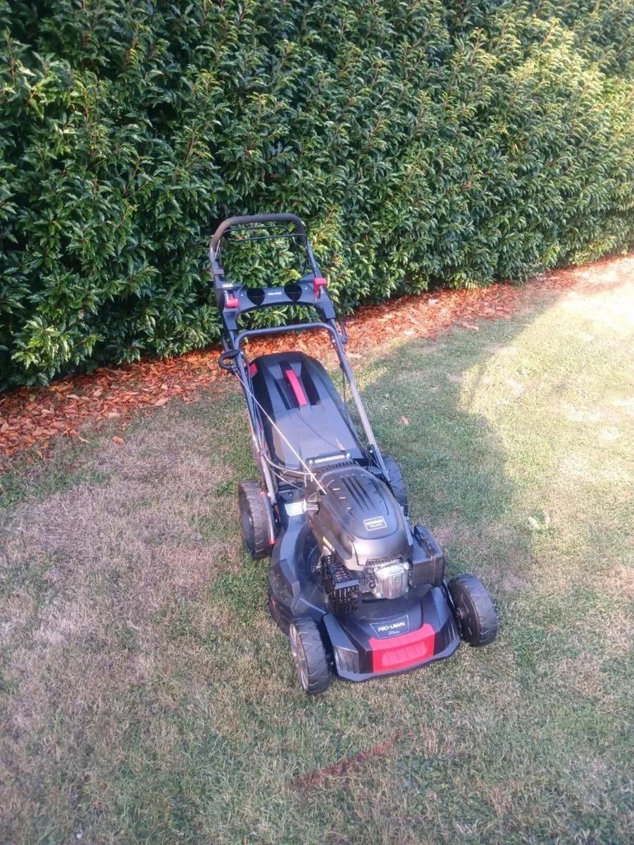 Lawnmower - Image 1
