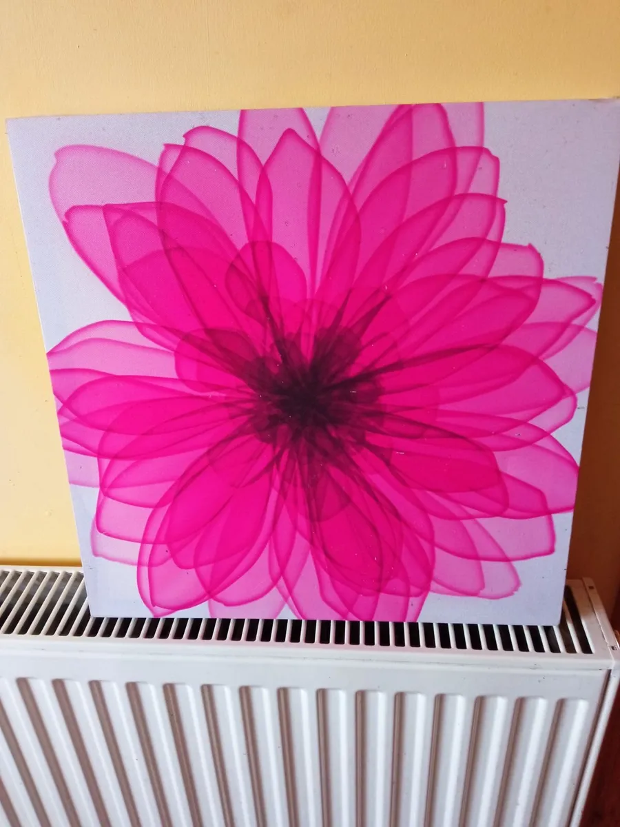 Canvas Picture