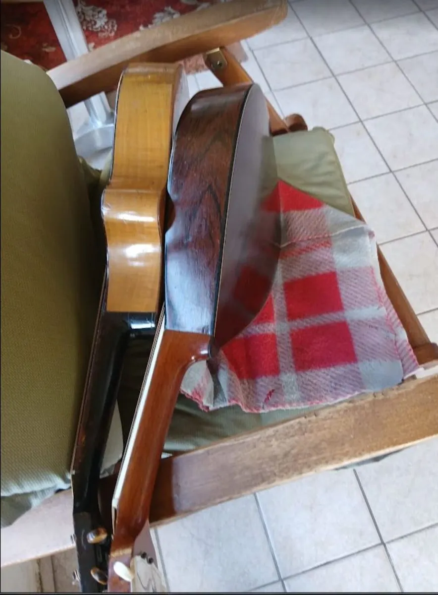 Mandolins - Image 2