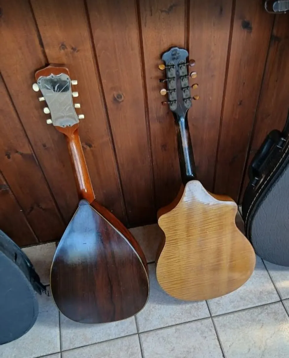 Mandolins - Image 3