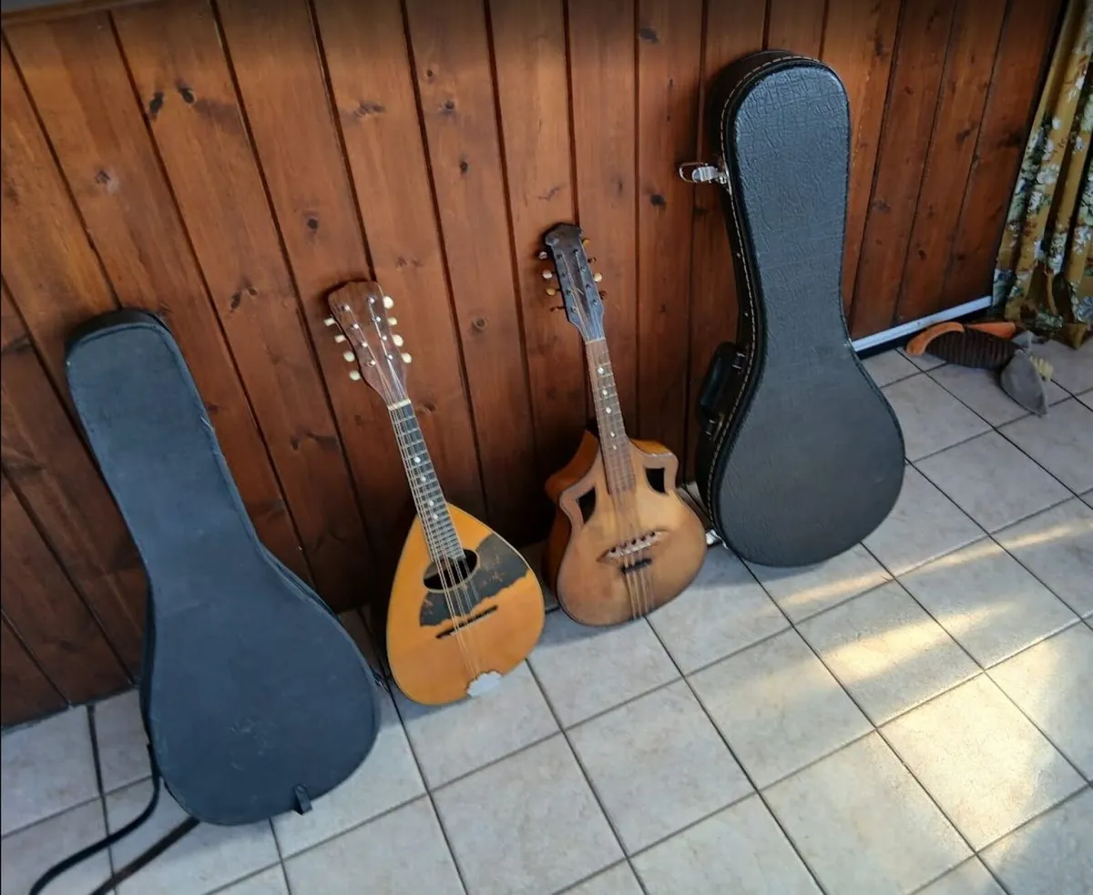 Mandolins - Image 1
