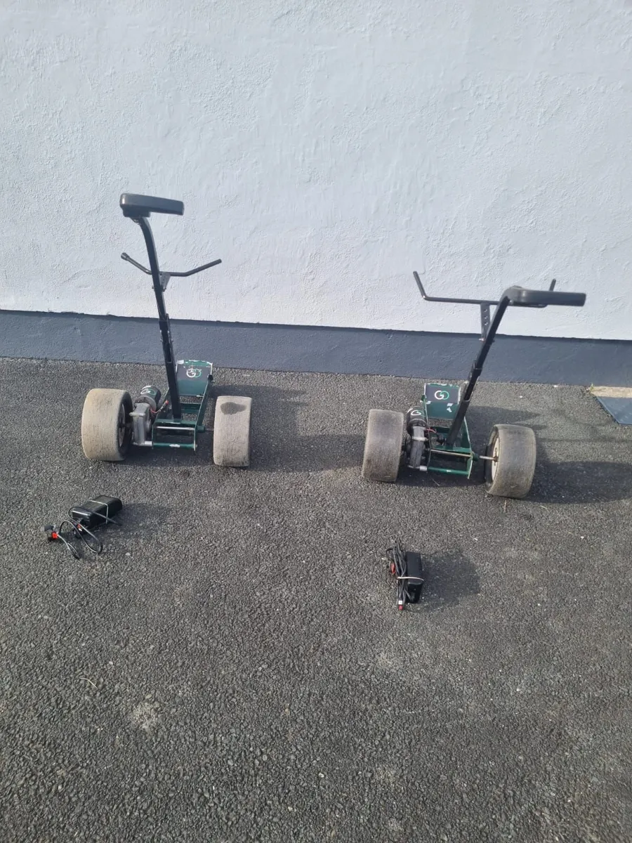 Golf Glider Classic Lite (x2) - Repairs Needed - Image 2