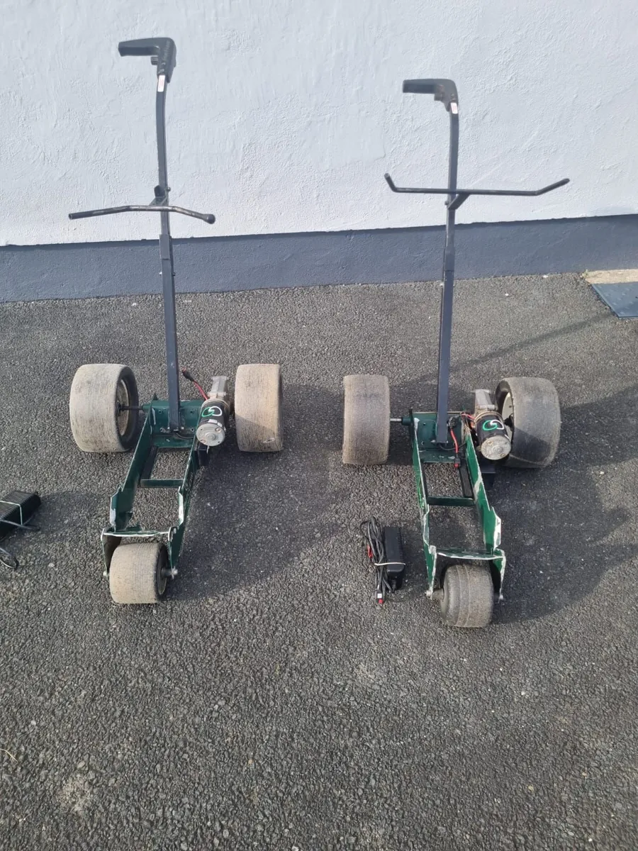 Golf Glider Classic Lite (x2) - Repairs Needed - Image 3