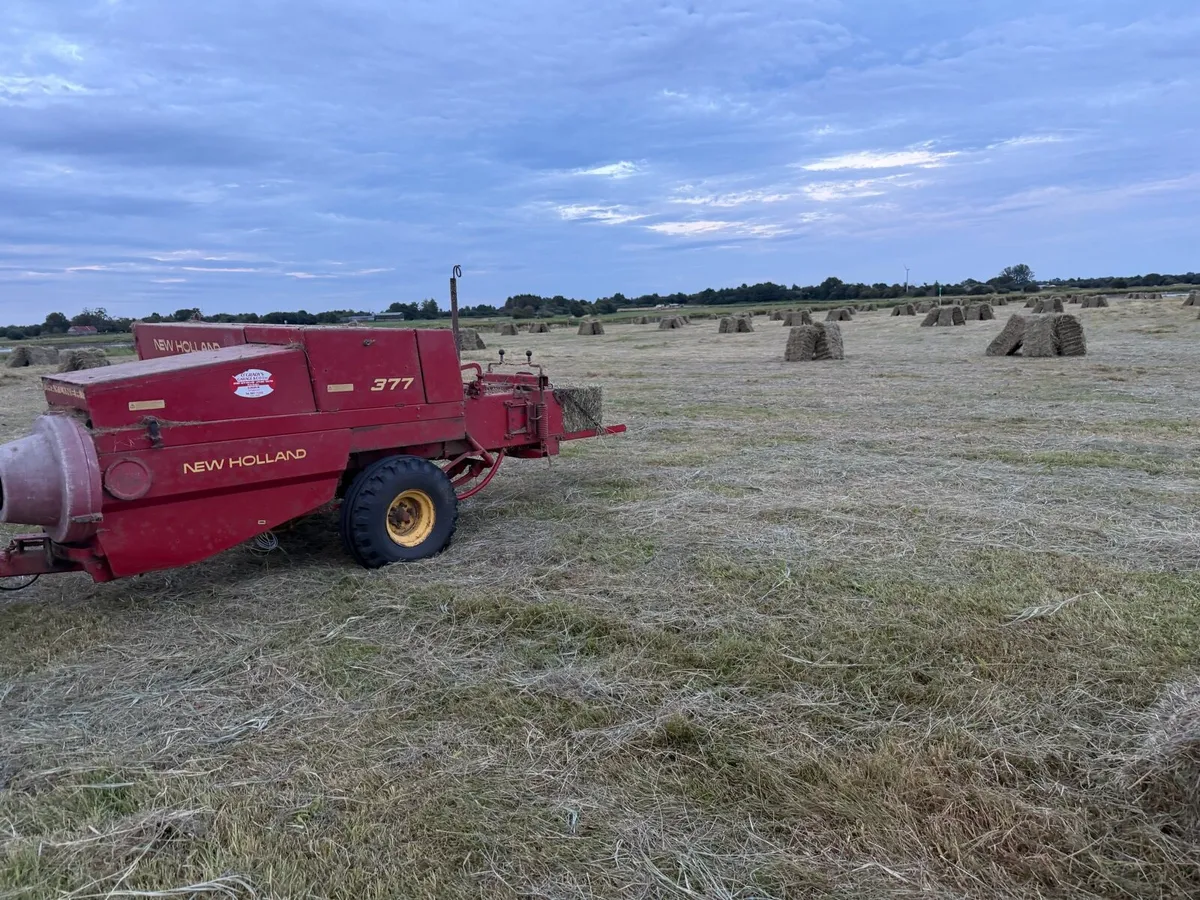 Square bales Hay - Image 2