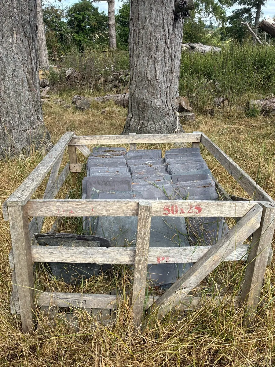 Blue Bangor Slates & Ridge Tiles for Sale - Image 1
