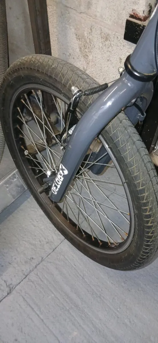 BMX - Image 4