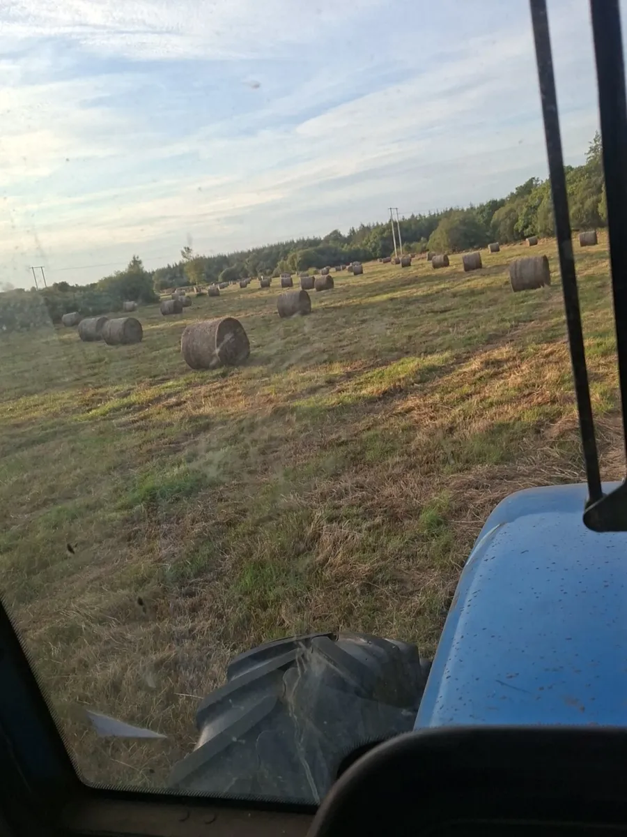 Bales of rushes