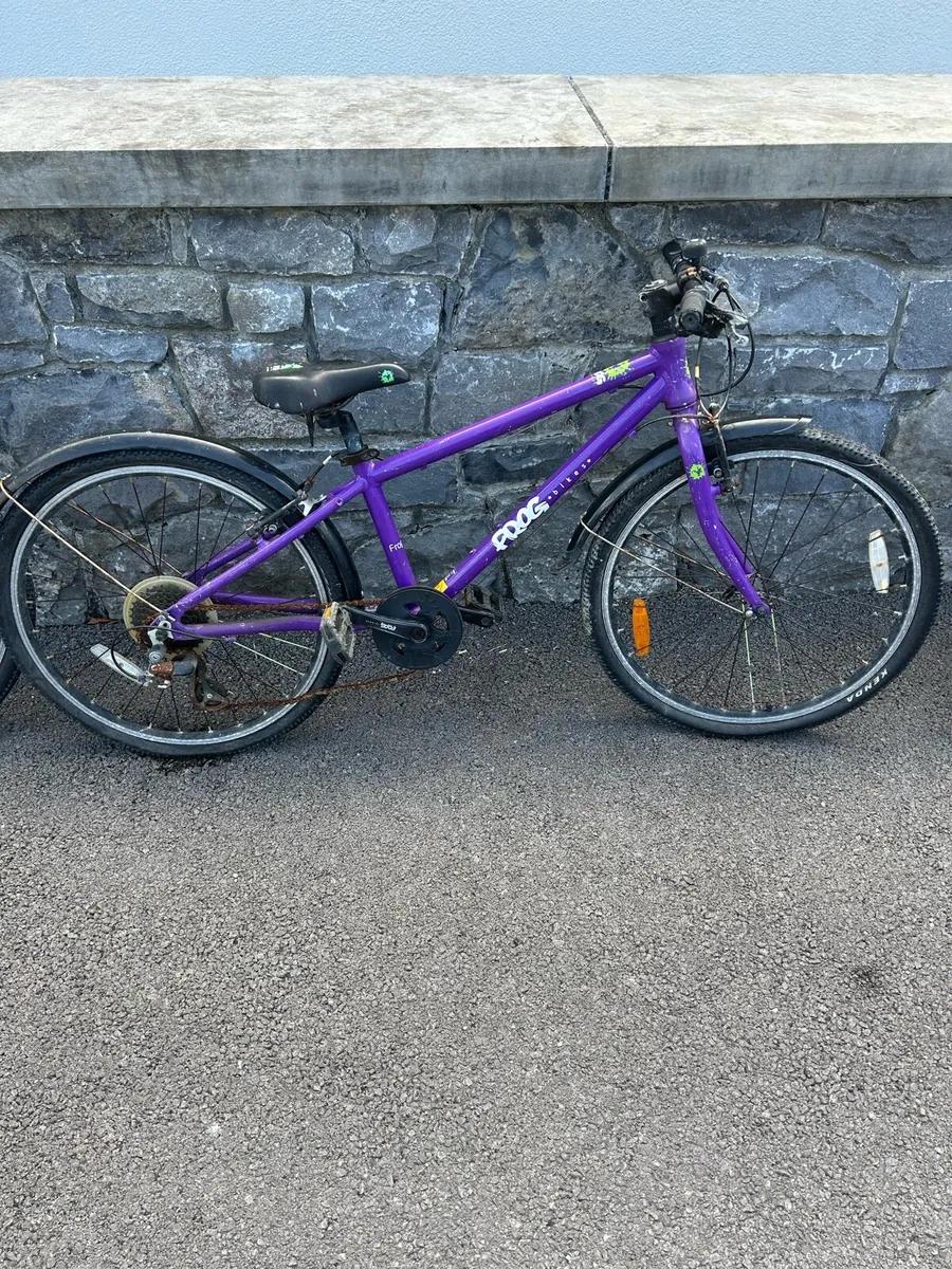 3 frog bikes - Image 4