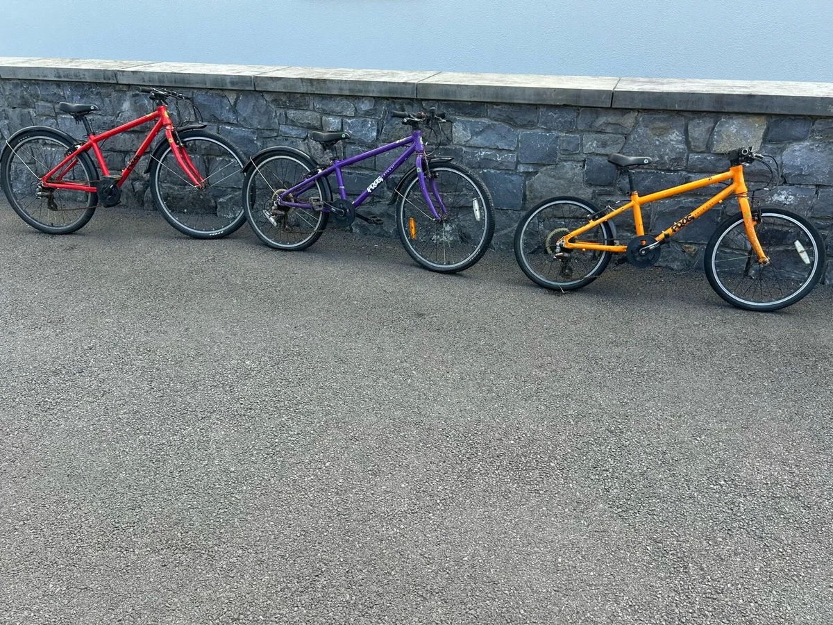 3 frog bikes - Image 2