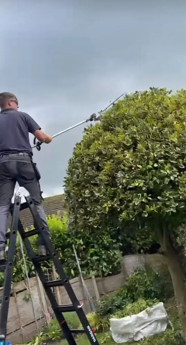 Small Landscaper& Power Washing service - Image 1