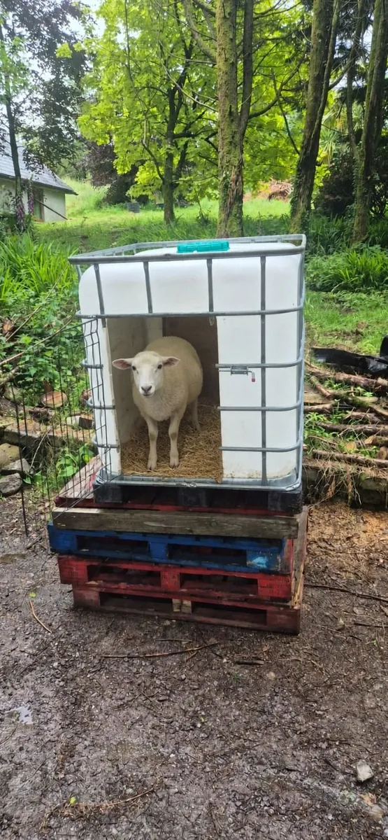 IBC Animal shelters - Image 1