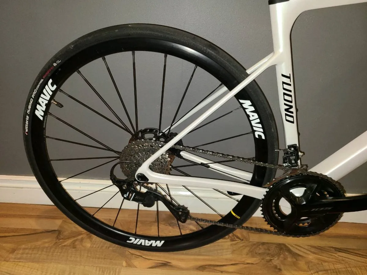 Full carbon Dolan Tuono - Image 4