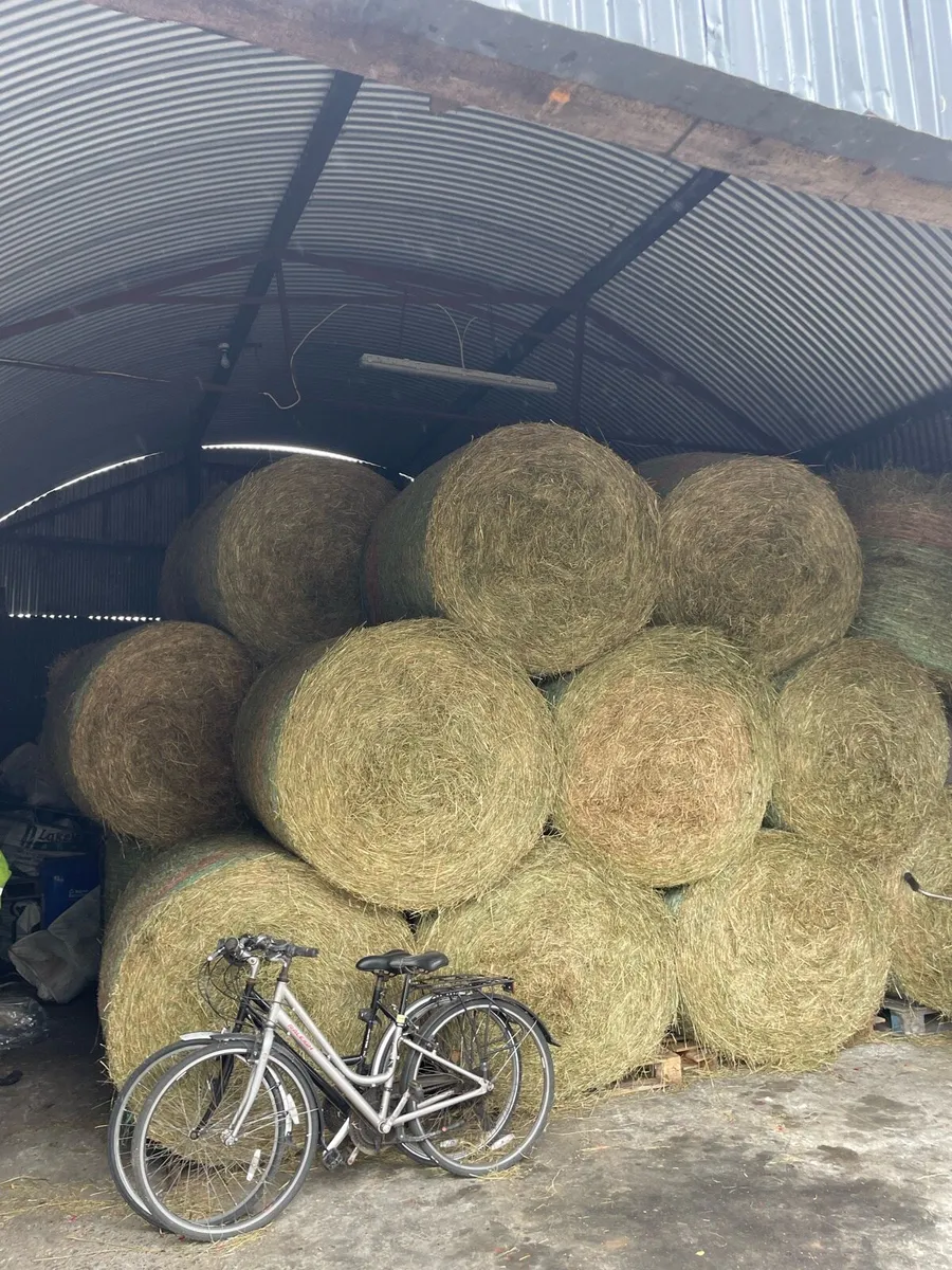 Hay