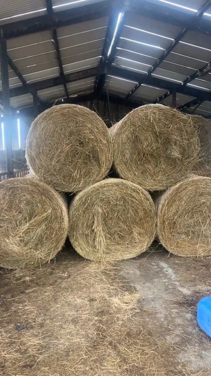 Bales of rushes - Image 1