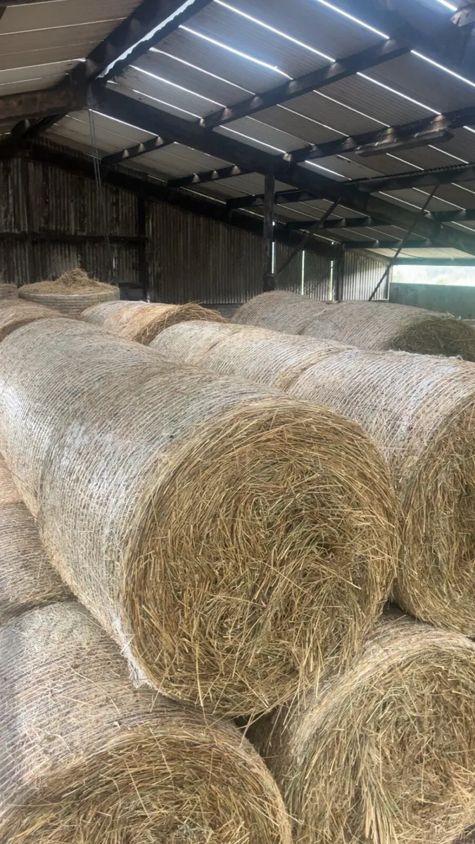 Bales of rushes - Image 3