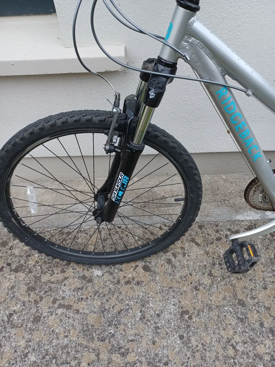 Bike Ridgeback - Image 2