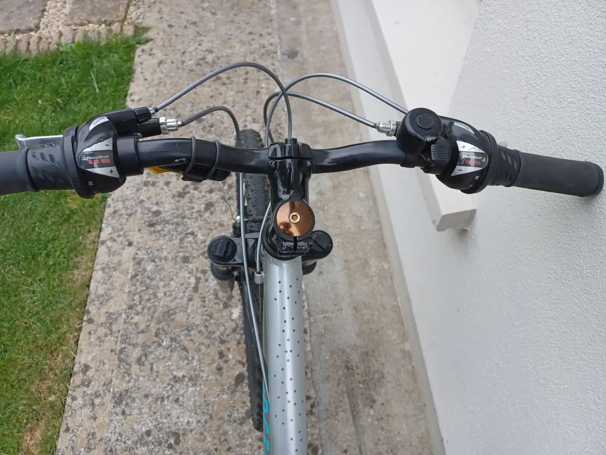 Bike Ridgeback - Image 3