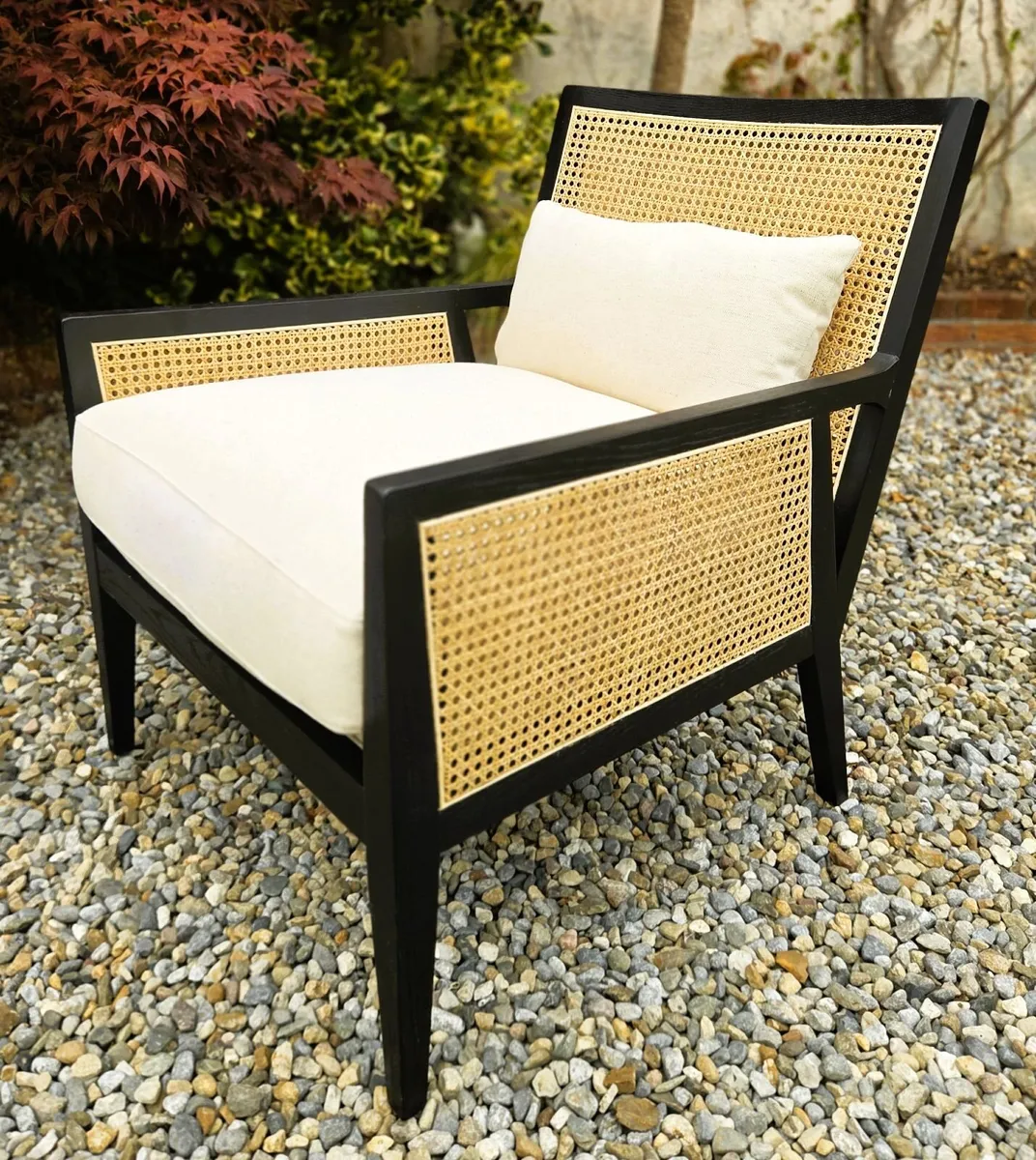 Ebony & Rattan Armchair - Image 2
