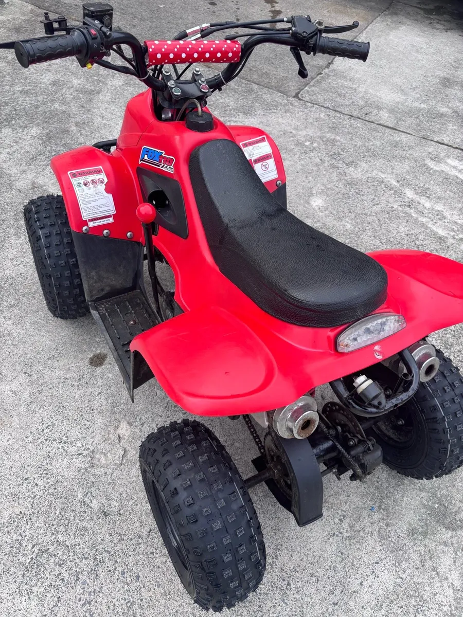 Fox 110cc - Image 2