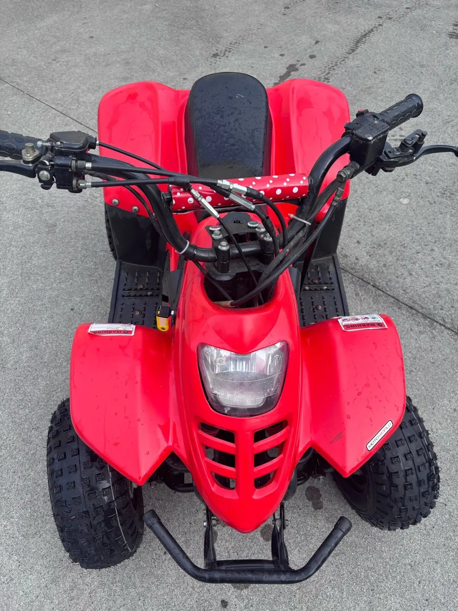 Fox 110cc - Image 1