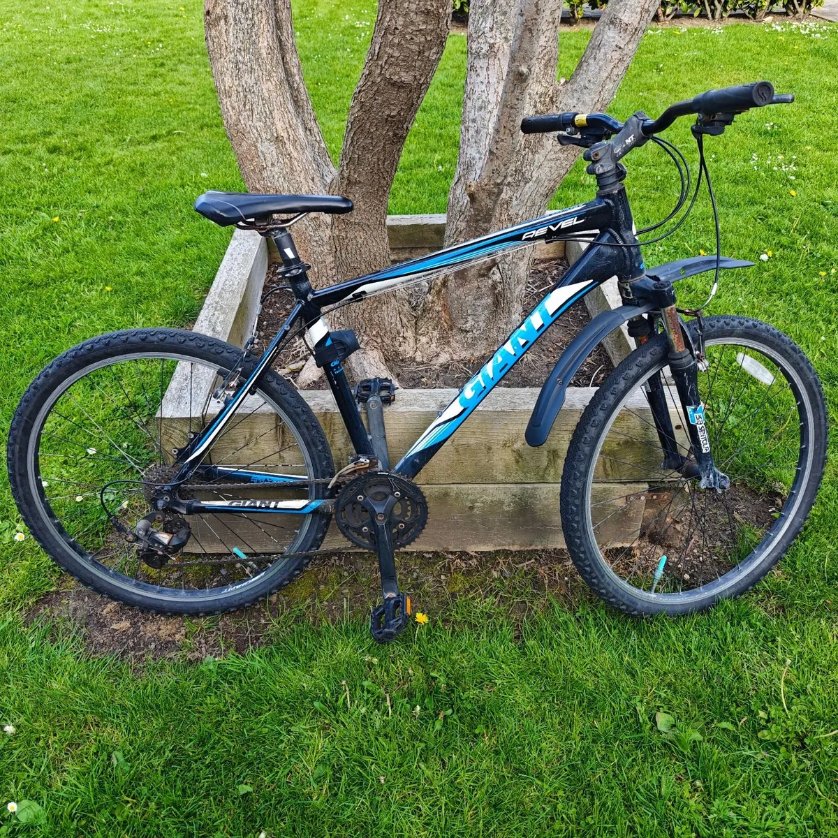 Bicycle - Image 1