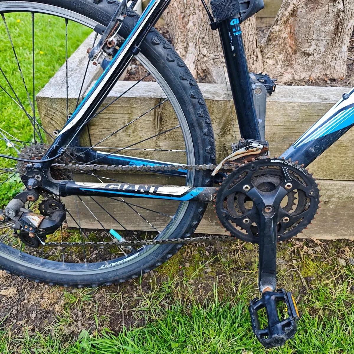 Bicycle - Image 2