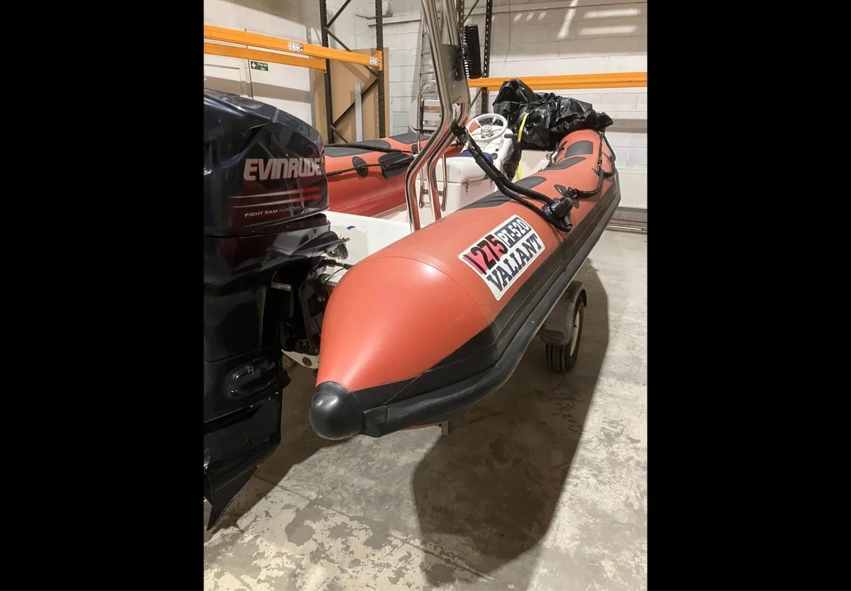 Valiant 520 rib - Image 3