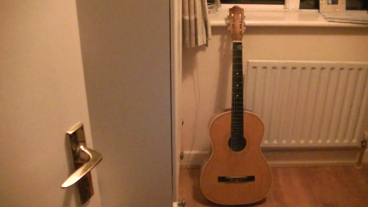 LARK Guitar - Image 1