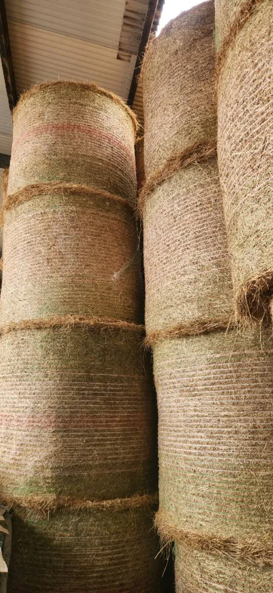 Hay - Image 1