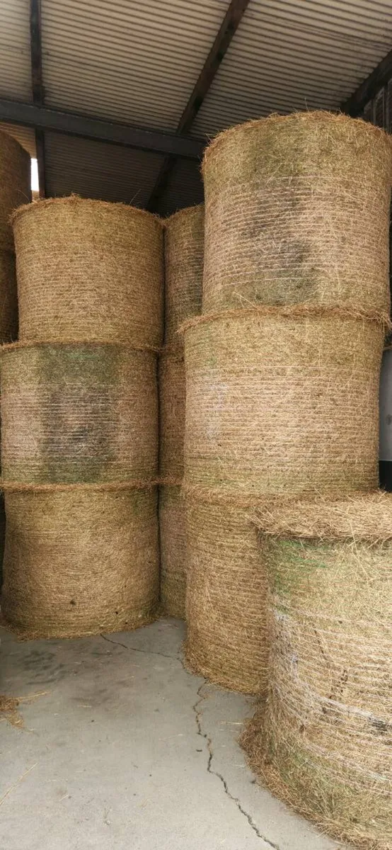 Hay - Image 2