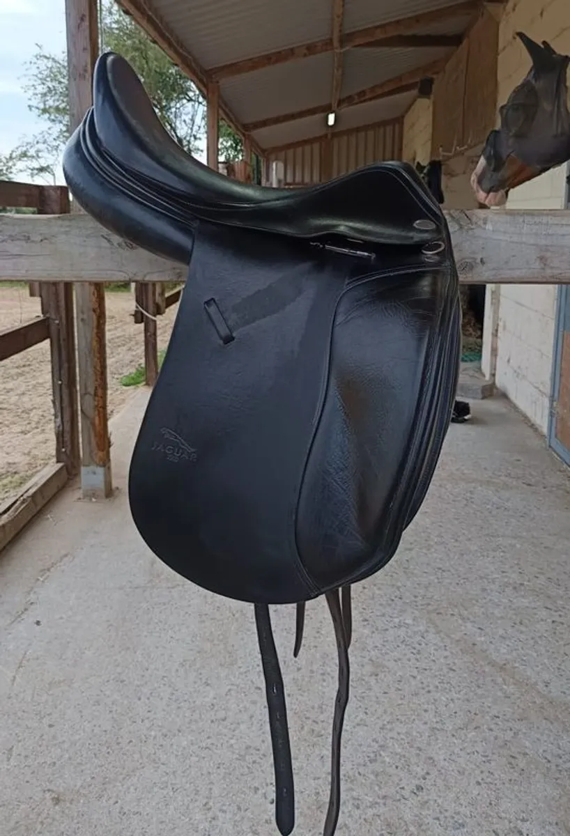 Jaguar Dressage Saddle - Image 2