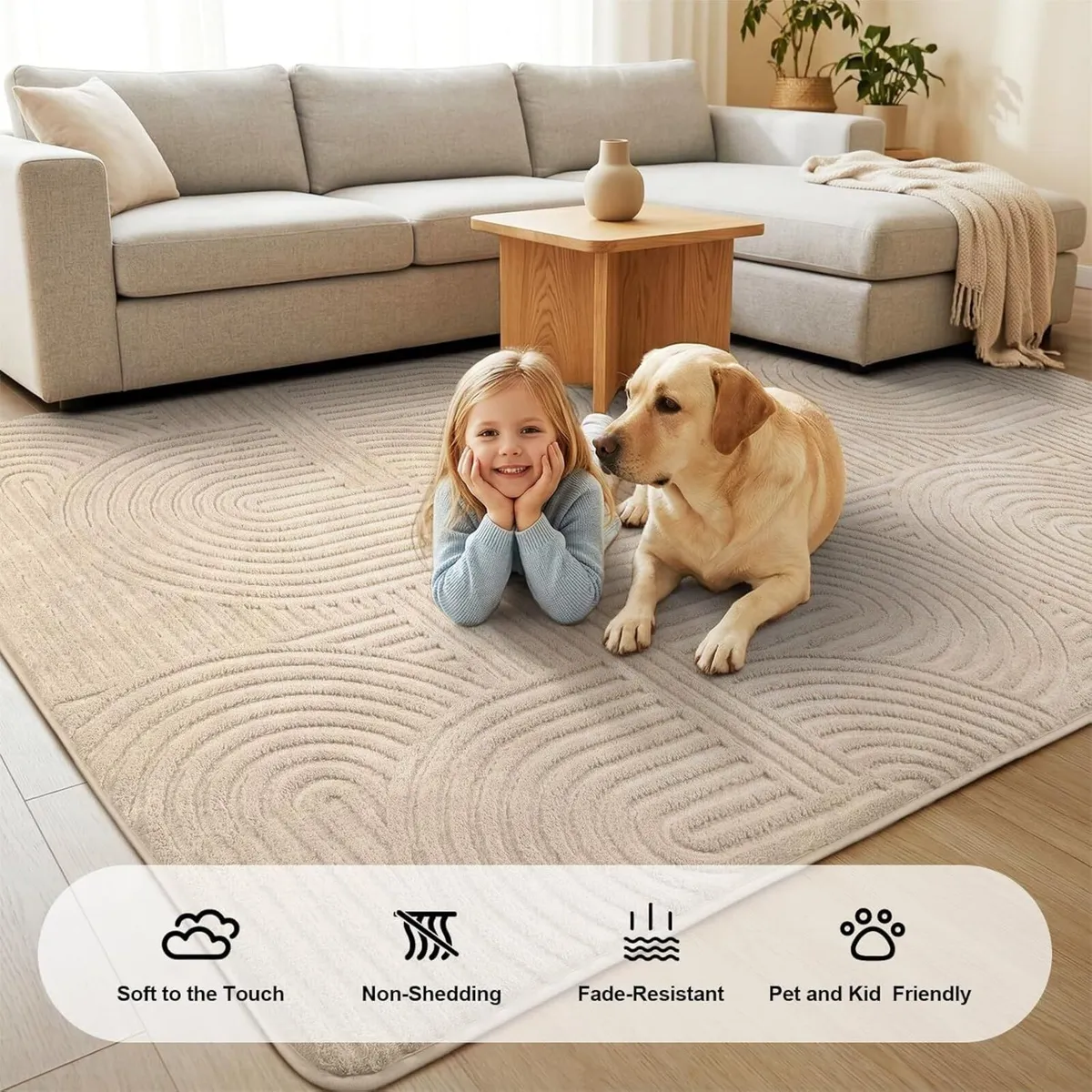 Rugs Living Room Soft Fluffy - Image 3