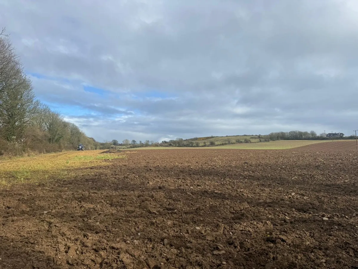 Short winter feeding? Land for fodder rape - Image 2