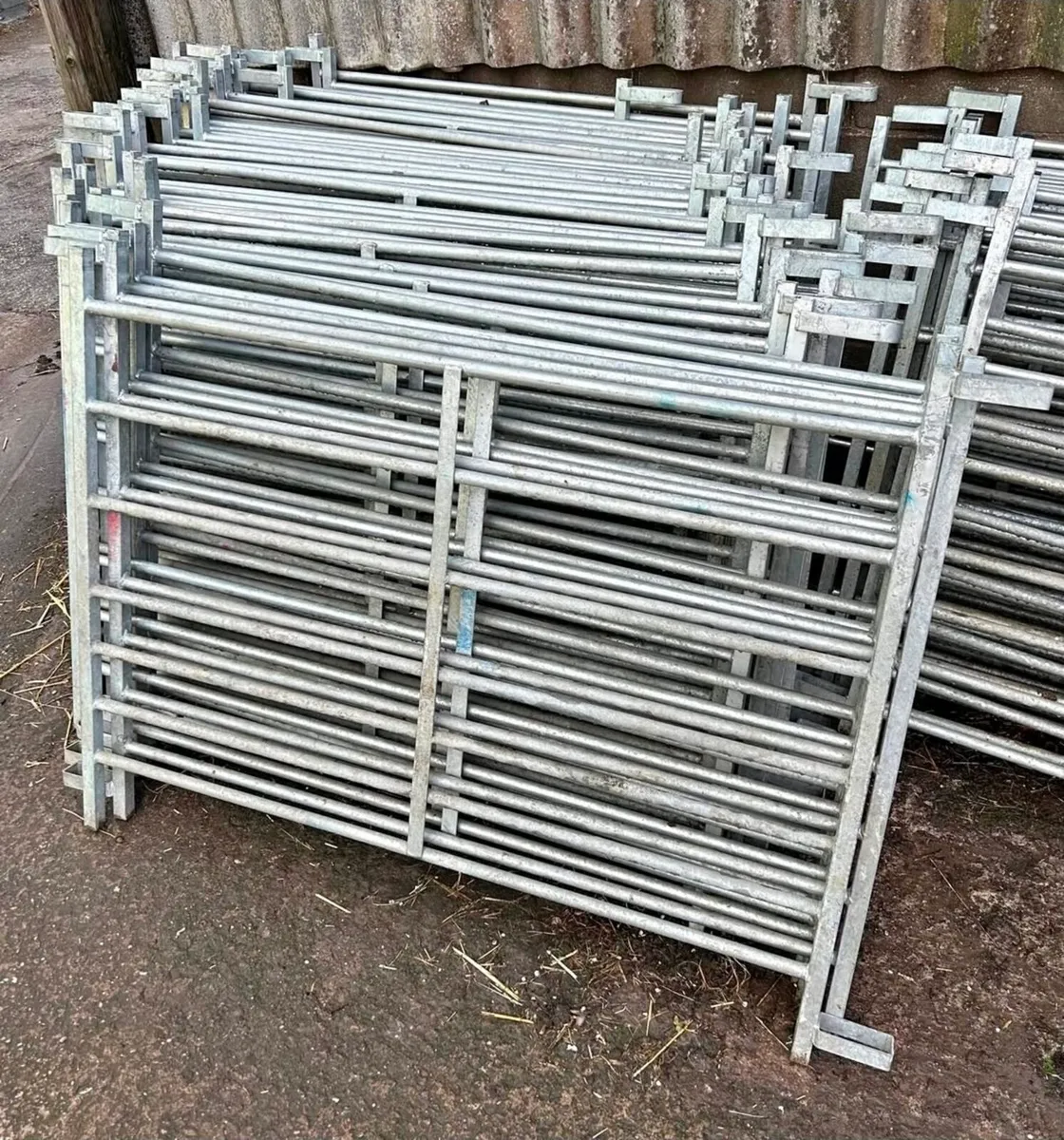Sheep Hurdles