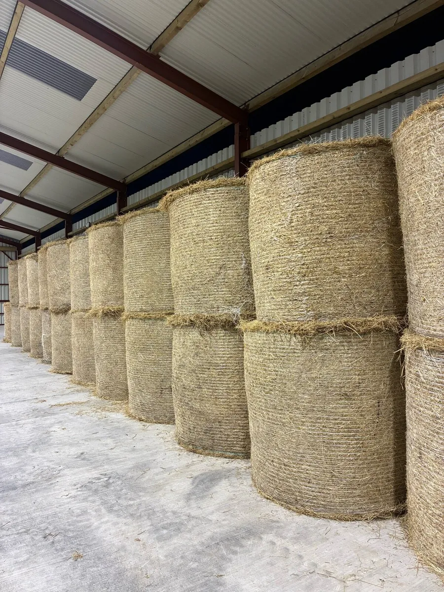 Hay