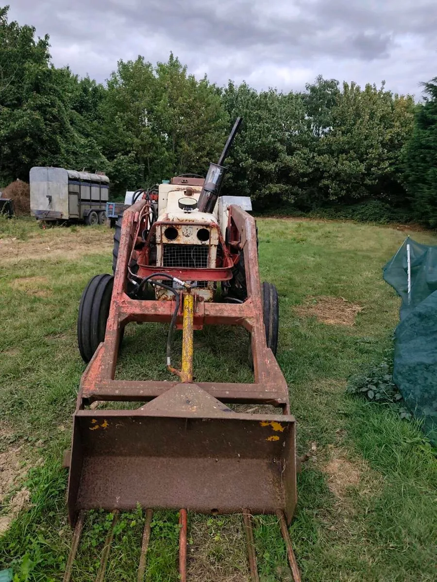 David brown tractor - Image 2