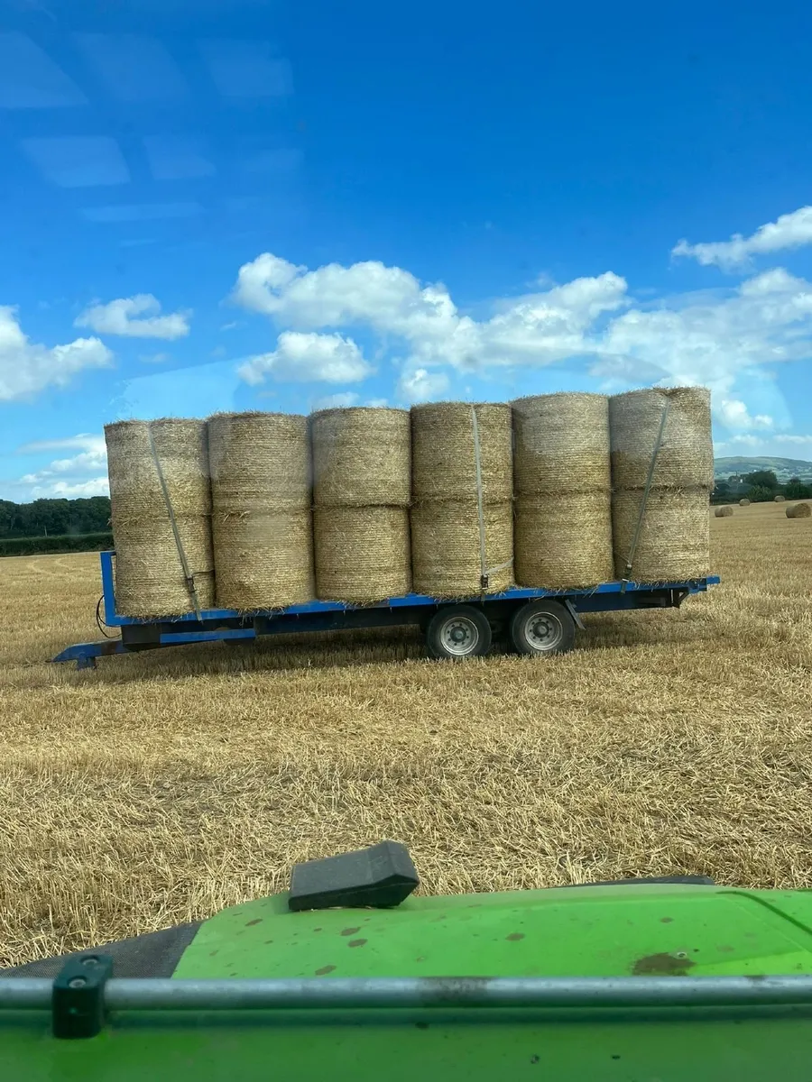 Straw