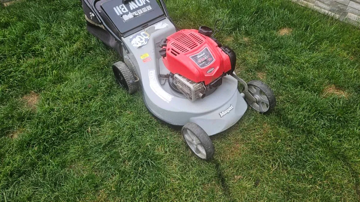 lawnmower - Image 1