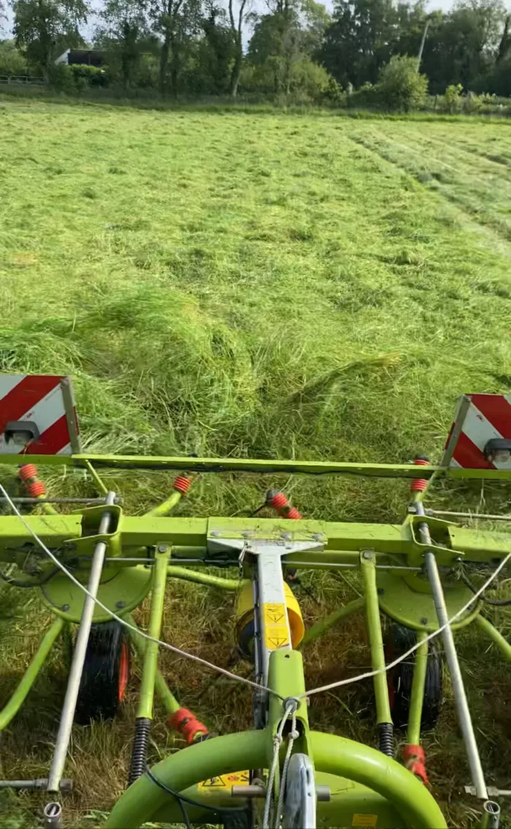 Silage - Image 2