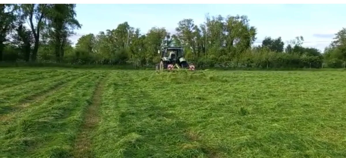 Silage - Image 3