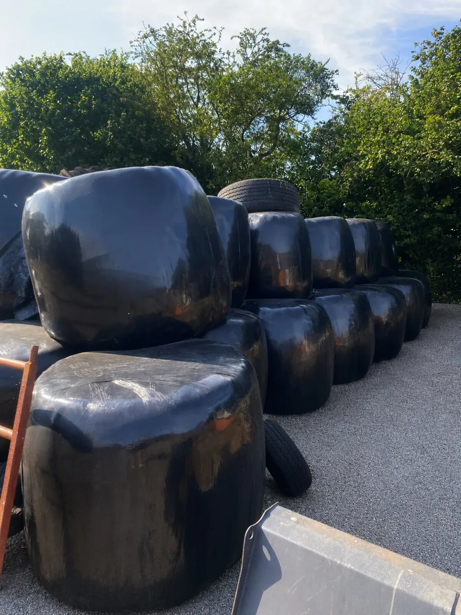 Silage - Image 1