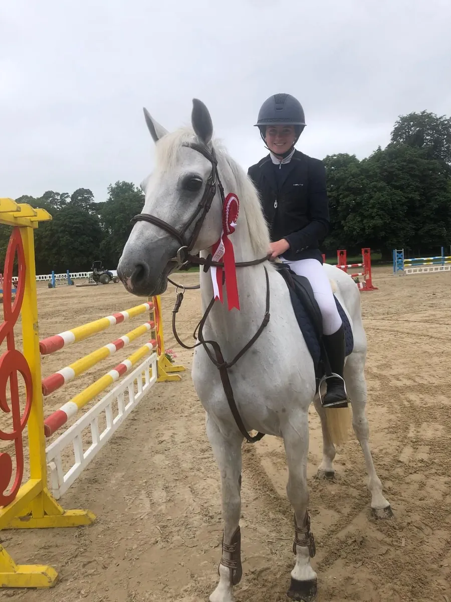 Highburren Rose 148cm showjumper - Image 3